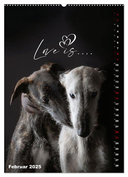 dogmuse deluxe (CALVENDO Wandkalender 2025)