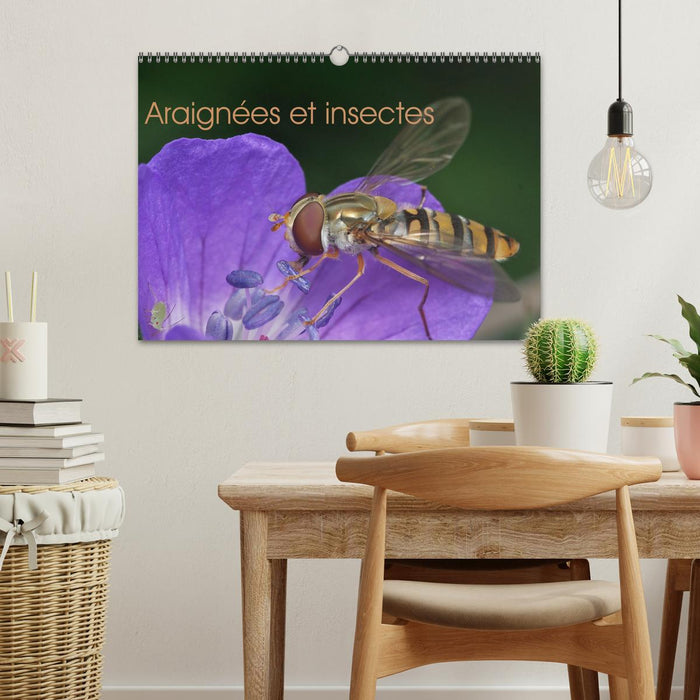 Araignées et insectes (CALVENDO Calendrier mensuel 2025)