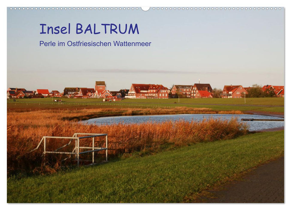 Insel Baltrum, Perle im Ostfriesischen Wattenmeer (CALVENDO Wandkalender 2025)