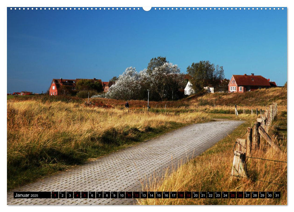 Insel Baltrum, Perle im Ostfriesischen Wattenmeer (CALVENDO Premium Wandkalender 2025)