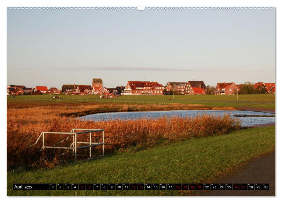 Insel Baltrum, Perle im Ostfriesischen Wattenmeer (CALVENDO Premium Wandkalender 2025)