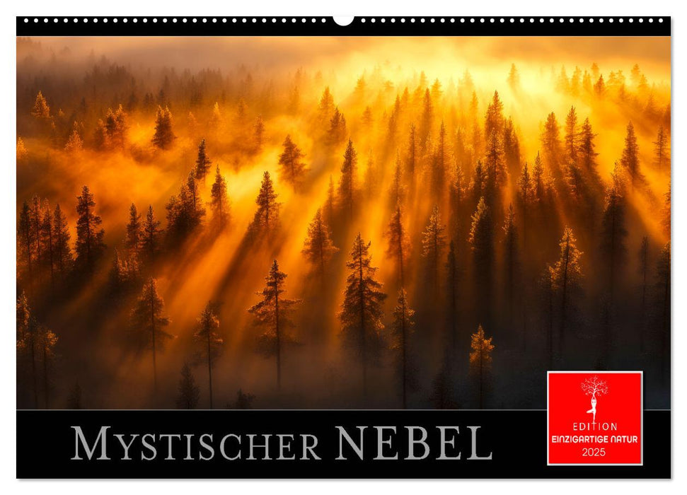 Mystischer Nebel (CALVENDO Wandkalender 2025)