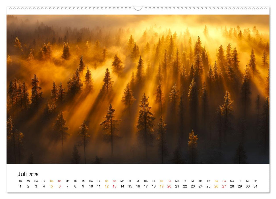 Mystischer Nebel (CALVENDO Premium Wandkalender 2025)