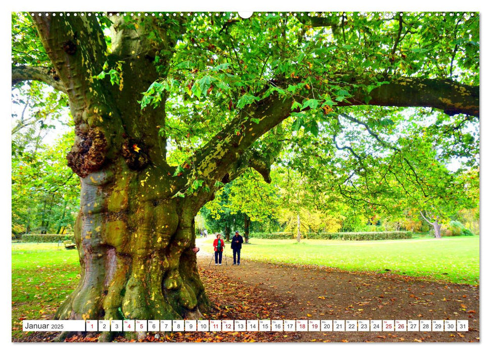 Grünes Paradies - Schlosspark Paffendorf (CALVENDO Wandkalender 2025)