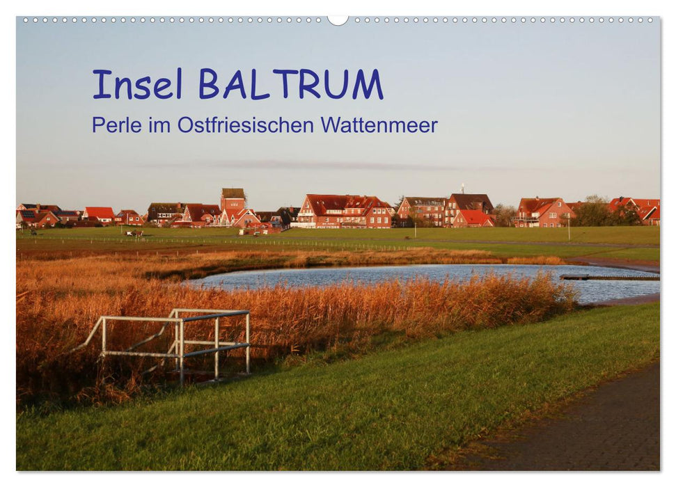 Insel Baltrum, Perle im Ostfriesischen Wattenmeer (CALVENDO Wandkalender 2025)