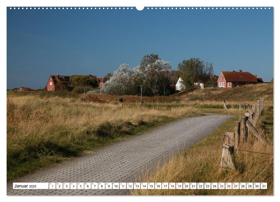 Insel Baltrum, Perle im Ostfriesischen Wattenmeer (CALVENDO Wandkalender 2025)