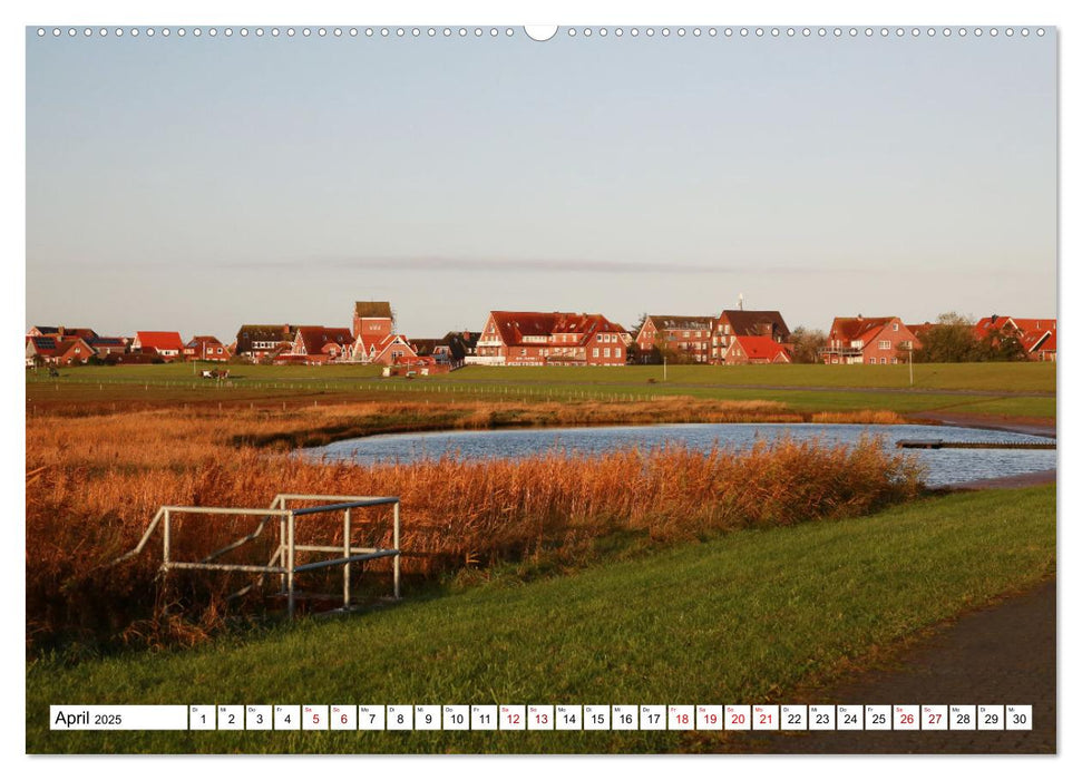 Insel Baltrum, Perle im Ostfriesischen Wattenmeer (CALVENDO Wandkalender 2025)