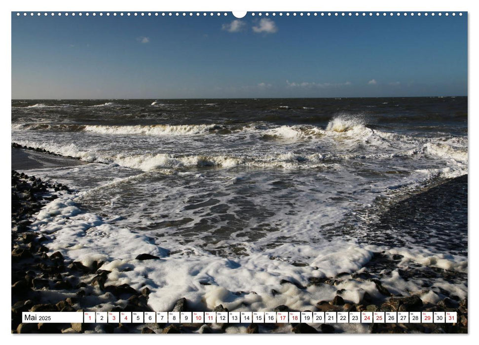 Insel Baltrum, Perle im Ostfriesischen Wattenmeer (CALVENDO Wandkalender 2025)