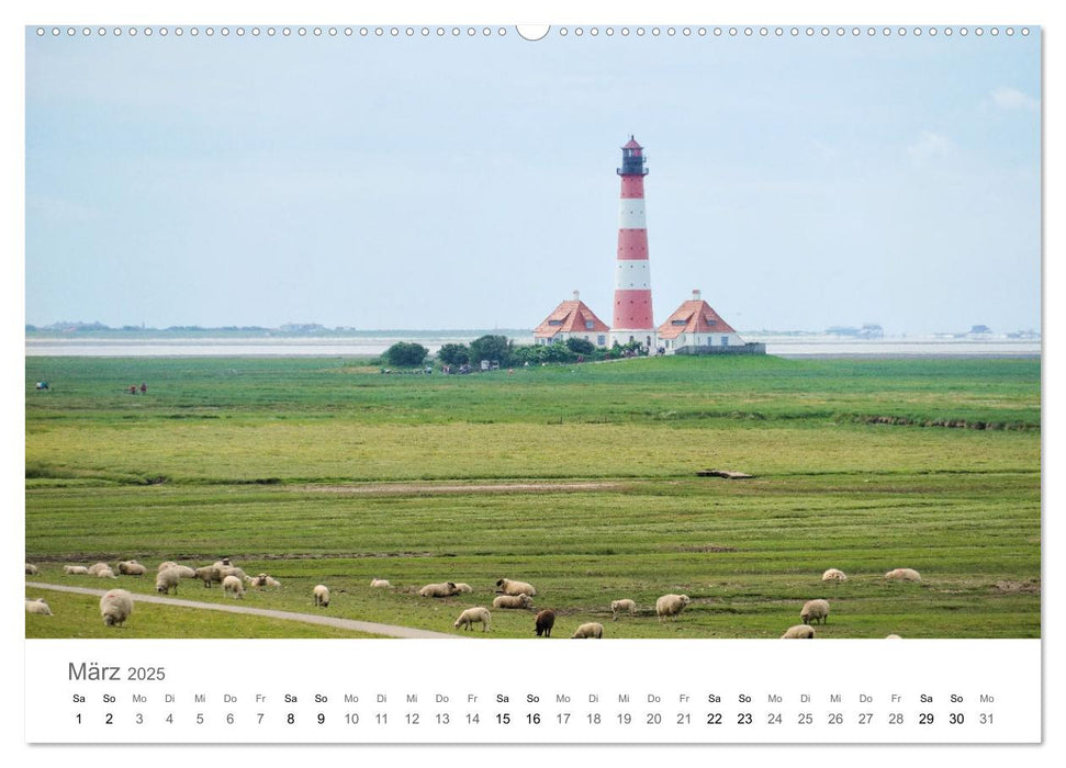 Nordfriesland - wunderschöne Westküste (CALVENDO Wandkalender 2025)