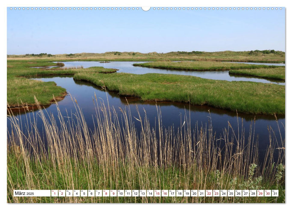 Insel Baltrum, Perle im Ostfriesischen Wattenmeer (CALVENDO Premium Wandkalender 2025)