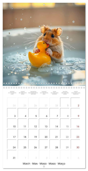 Small paws and great playfulness (CALVENDO Monthly Calendar 2025)