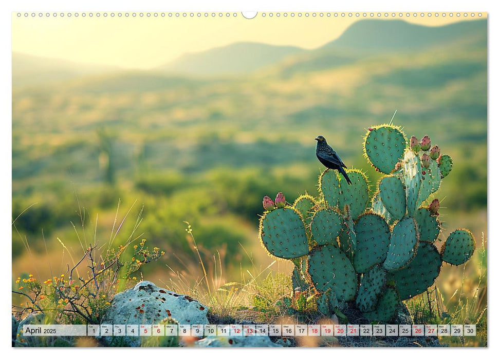 Prickly Cactus Journey (CALVENDO Monthly Calendar 2025)