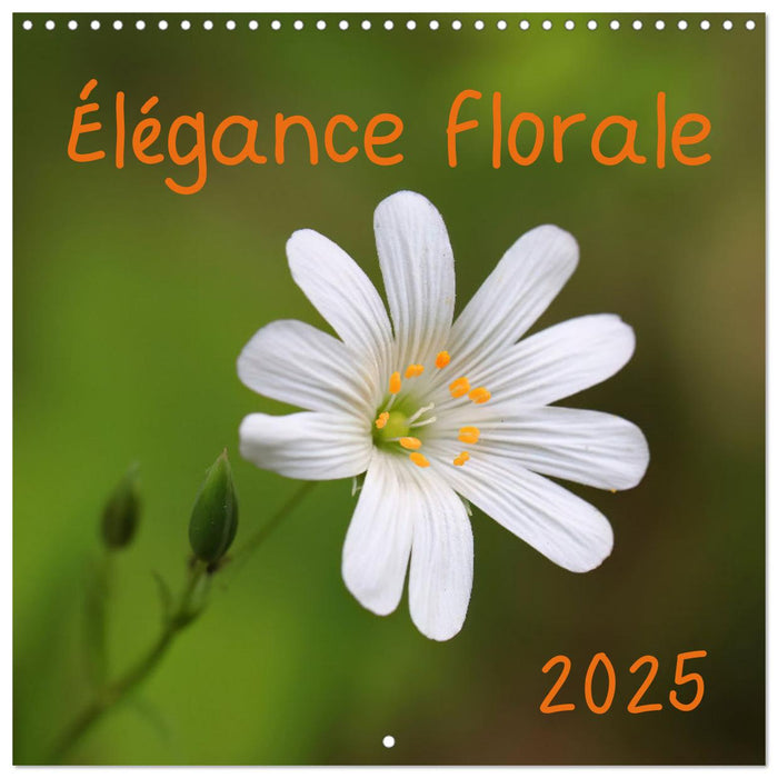 Élégance florale (CALVENDO Calendrier mensuel 2025)