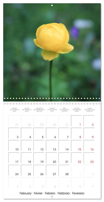 Élégance florale (CALVENDO Calendrier mensuel 2025)