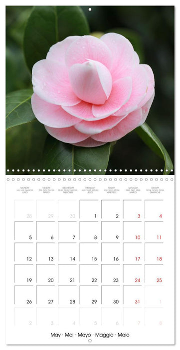 Élégance florale (CALVENDO Calendrier mensuel 2025)