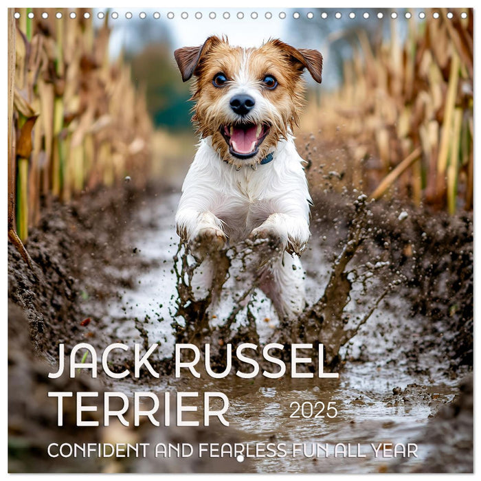 Jack Russel Terrier - Confident and Fearless Fun All Year (CALVENDO Monthly Calendar 2025)