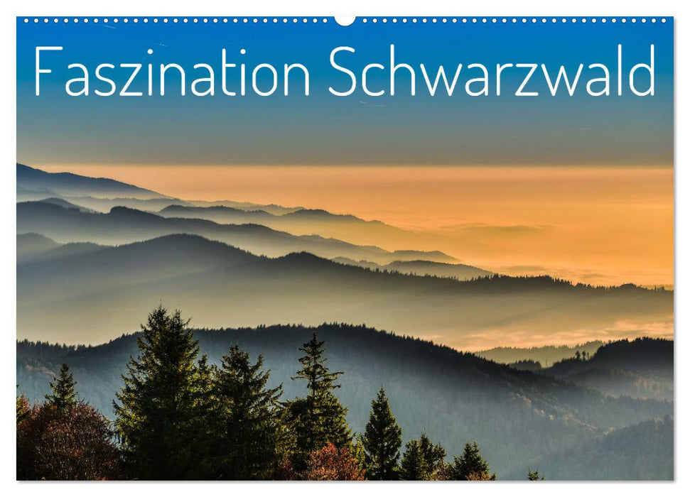 Faszination Schwarzwald (CALVENDO Wandkalender 2025)