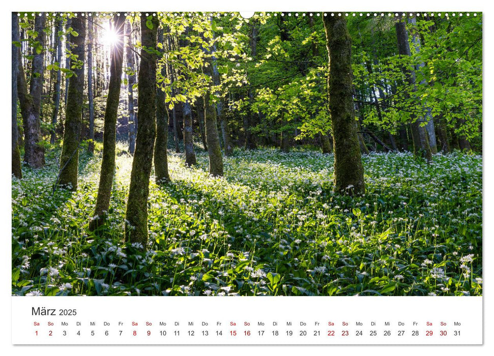 Sauerland - hier muss man mal gewesen sein (CALVENDO Wandkalender 2025)