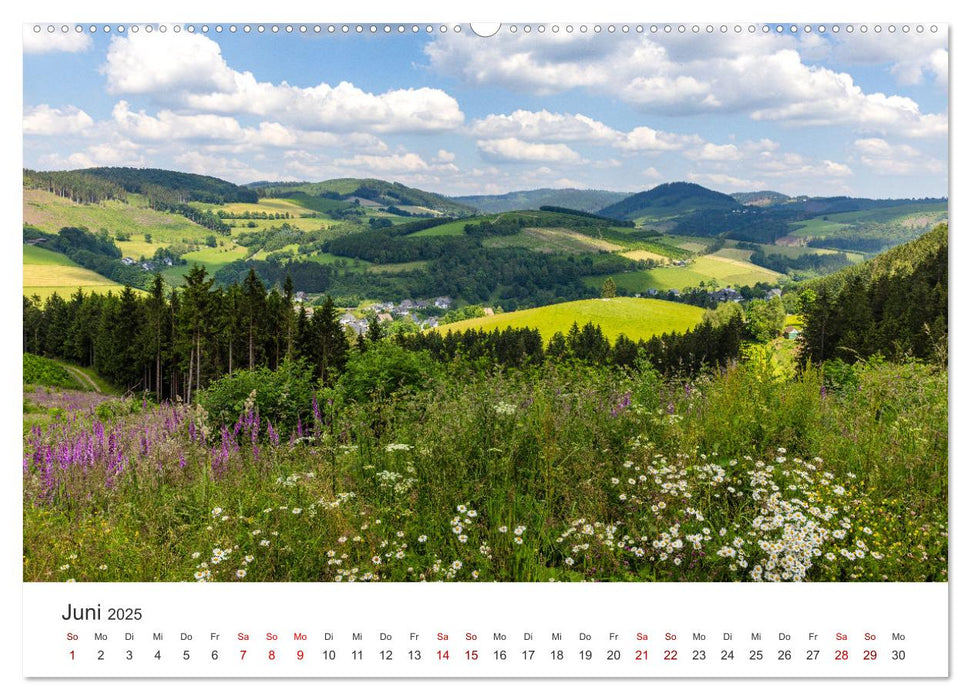 Sauerland - hier muss man mal gewesen sein (CALVENDO Wandkalender 2025)