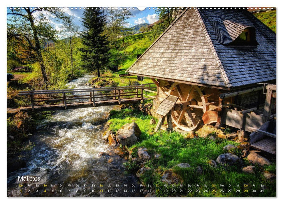 Faszination Schwarzwald (CALVENDO Premium Wandkalender 2025)