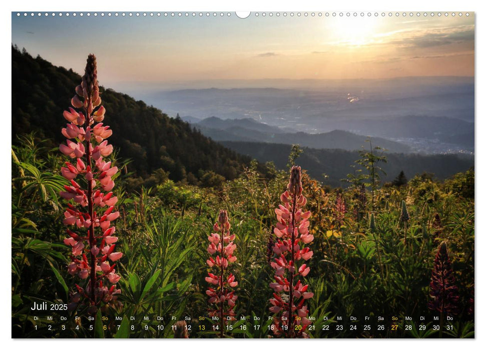 Faszination Schwarzwald (CALVENDO Premium Wandkalender 2025)