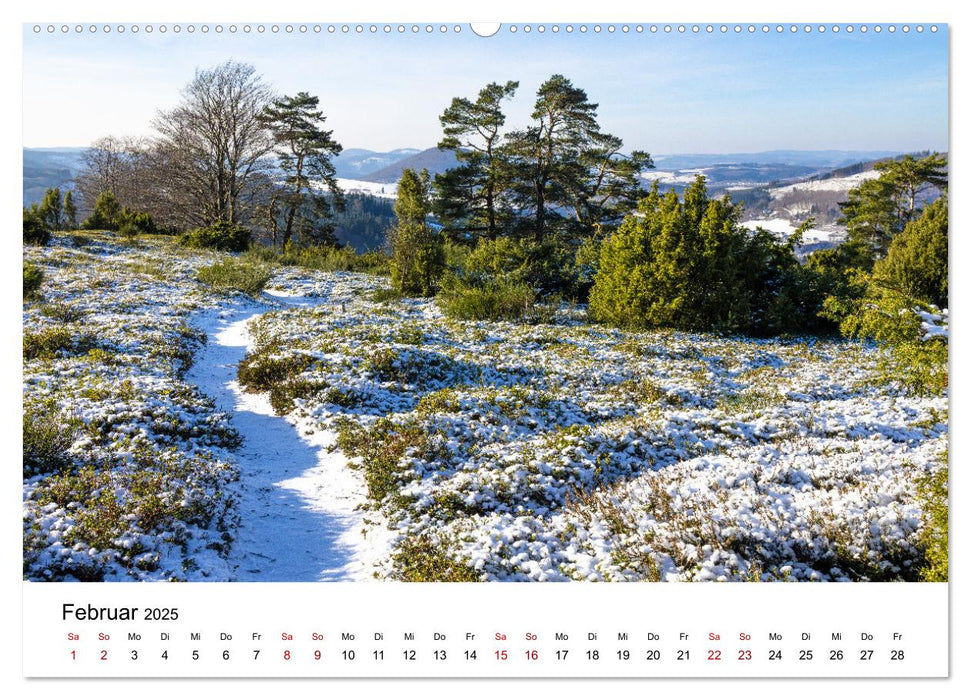 Westfeld-Ohlenbach im Wechsel der Jahreszeiten (CALVENDO Wandkalender 2025)