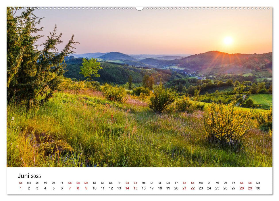 Westfeld-Ohlenbach im Wechsel der Jahreszeiten (CALVENDO Wandkalender 2025)