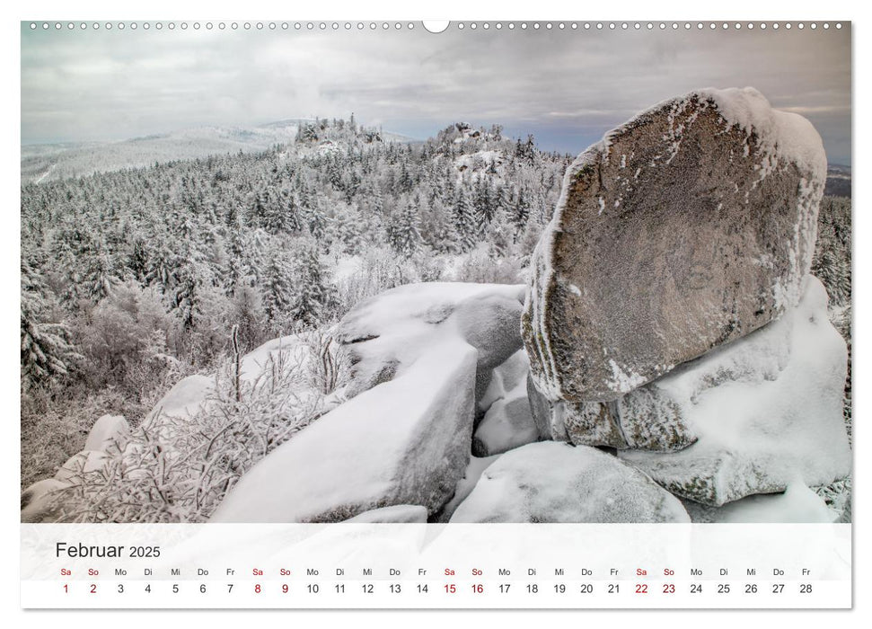 Sagenumwobener Harz (CALVENDO Wandkalender 2025)