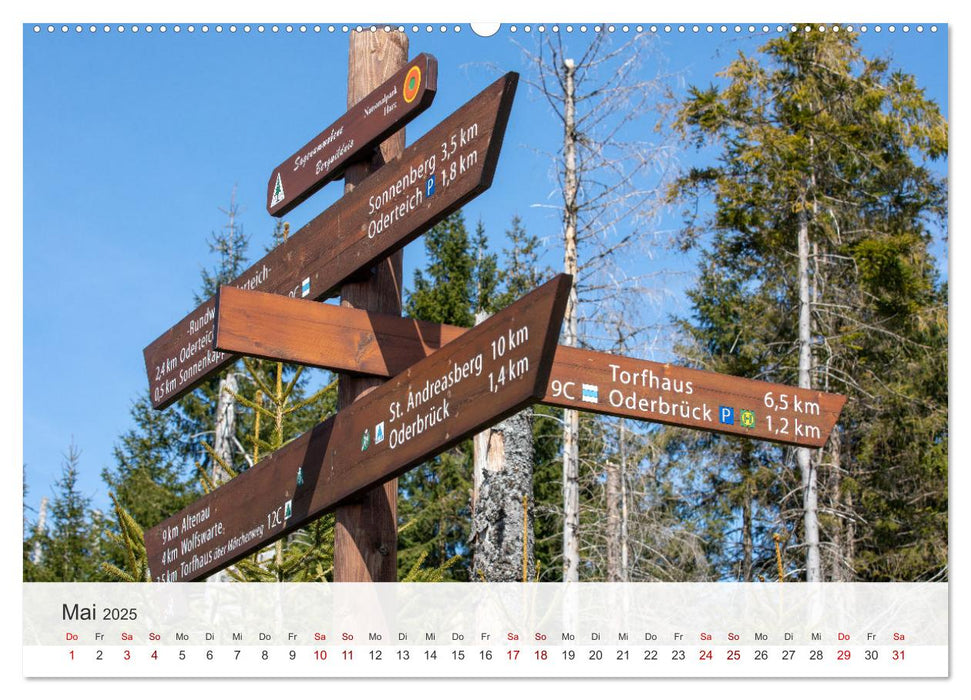 Sagenumwobener Harz (CALVENDO Wandkalender 2025)