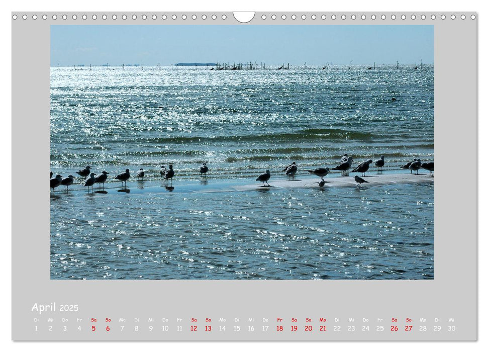 Küsten an Nord- und Ostsee (CALVENDO Wandkalender 2025)