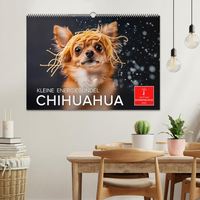 Chihuahua - kleine Energiebündel (CALVENDO Wandkalender 2025)