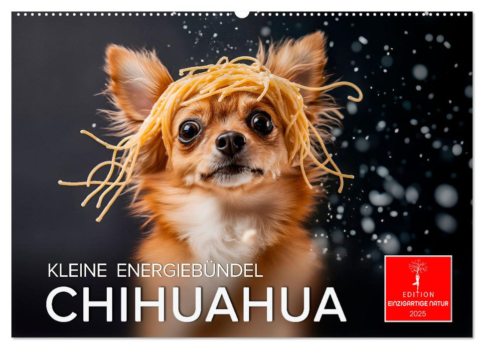 Chihuahua - kleine Energiebündel (CALVENDO Wandkalender 2025)