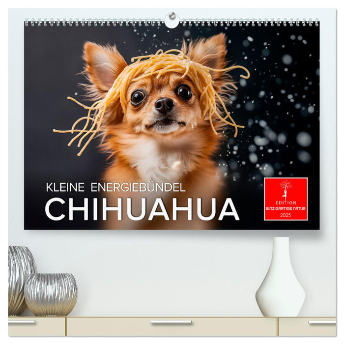 Chihuahua - kleine Energiebündel (CALVENDO Premium Wandkalender 2025)