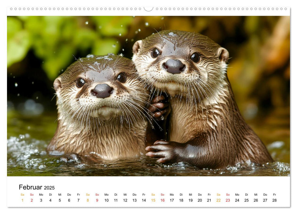 Wilde Heimat - Fischotter (CALVENDO Premium Wandkalender 2025)