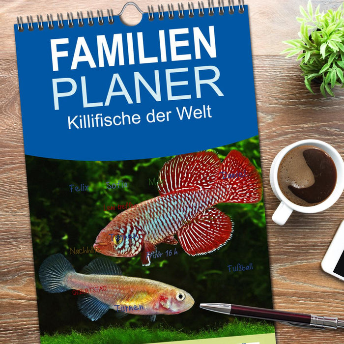 Killifische der Welt (CALVENDO Familienplaner 2025)