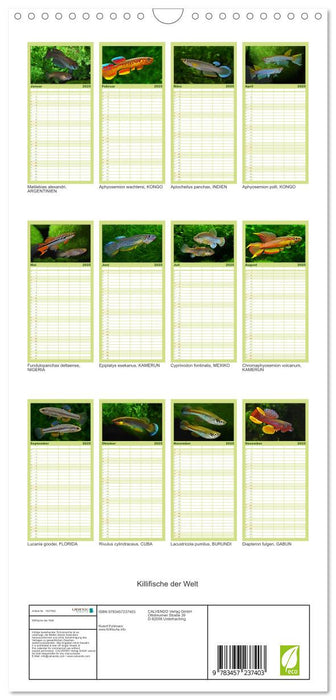 Killifische der Welt (CALVENDO Familienplaner 2025)