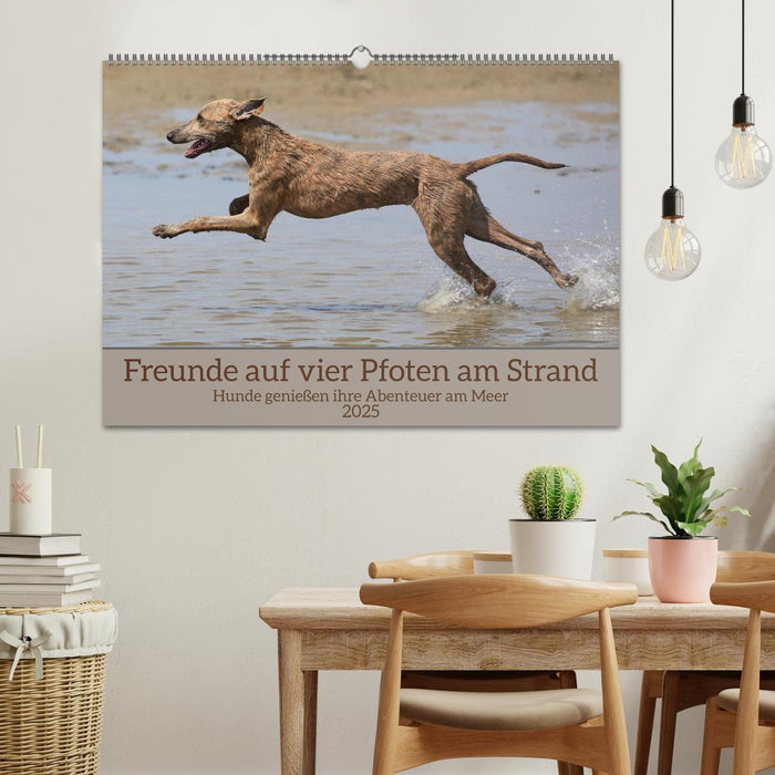 Freunde auf vier Pfoten am Strand (CALVENDO Wandkalender 2025)