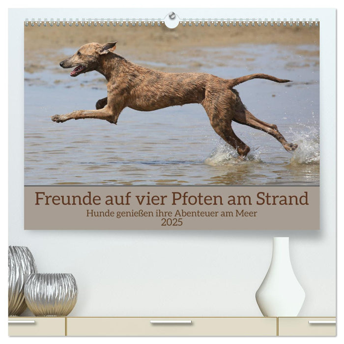 Freunde auf vier Pfoten am Strand (CALVENDO Premium Wandkalender 2025)