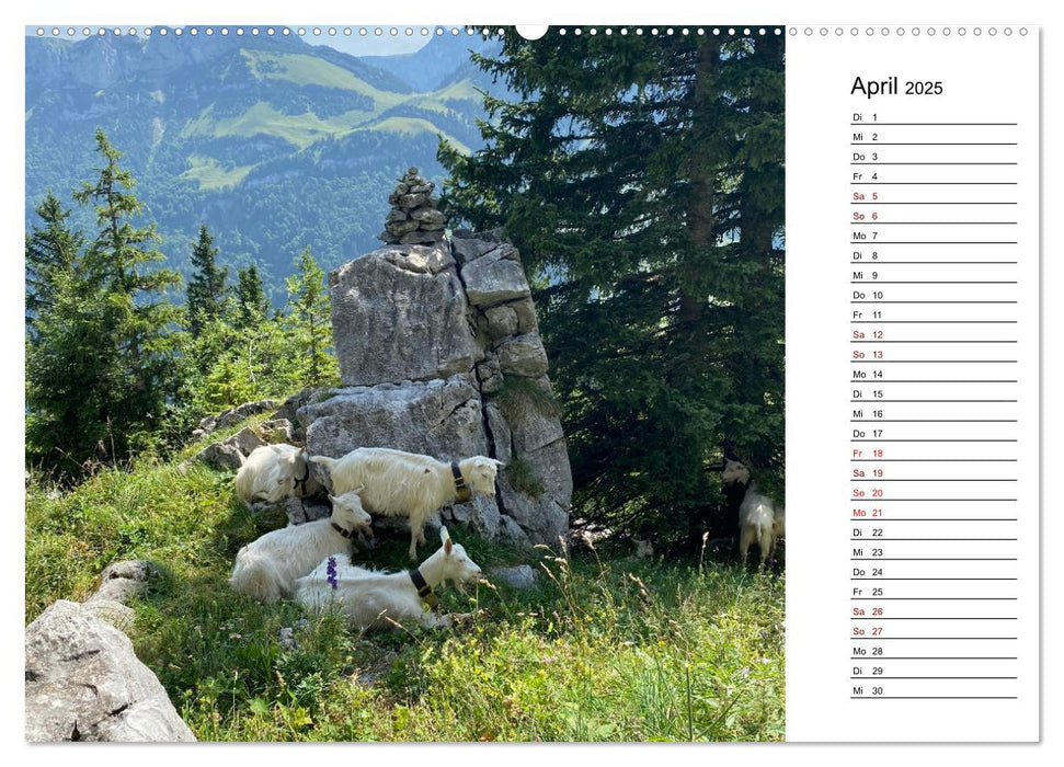 Alpenauszeit - Bergmomente fürs Herz (CALVENDO Wandkalender 2025)