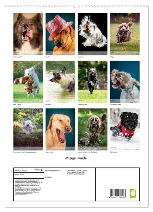 Witzige Hunde (CALVENDO Premium Wandkalender 2025)