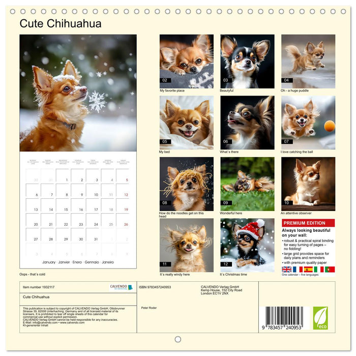 Cute Chihuahua (CALVENDO Monthly Calendar 2025)