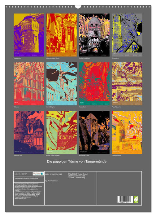 Die poppigen Türme von Tangermünde (CALVENDO Wandkalender 2025)