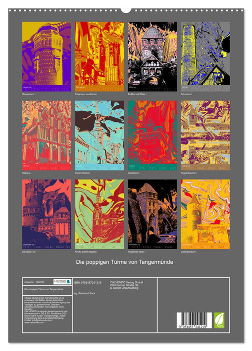 Die poppigen Türme von Tangermünde (CALVENDO Premium Wandkalender 2025)