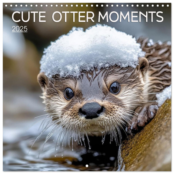 Cute Otter Moments (CALVENDO Monthly Calendar 2025)