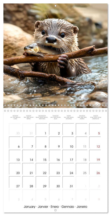 Cute Otter Moments (CALVENDO Monthly Calendar 2025)