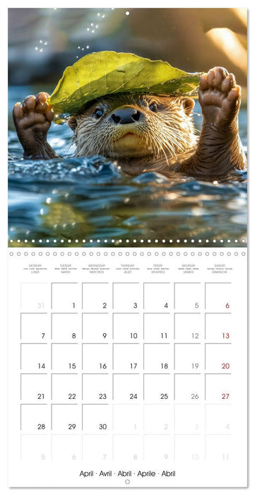 Cute Otter Moments (CALVENDO Monthly Calendar 2025)