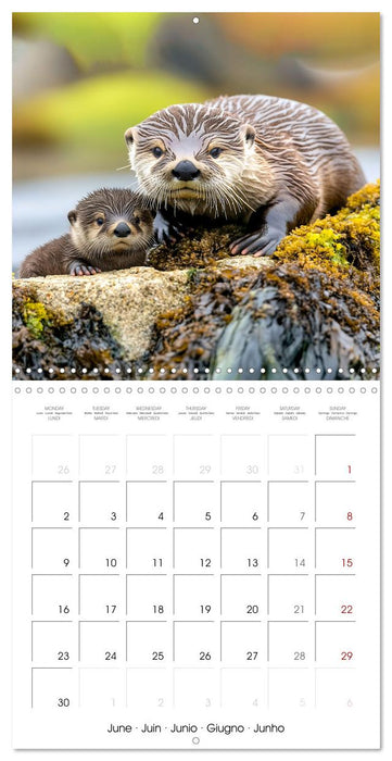 Cute Otter Moments (CALVENDO Monthly Calendar 2025)