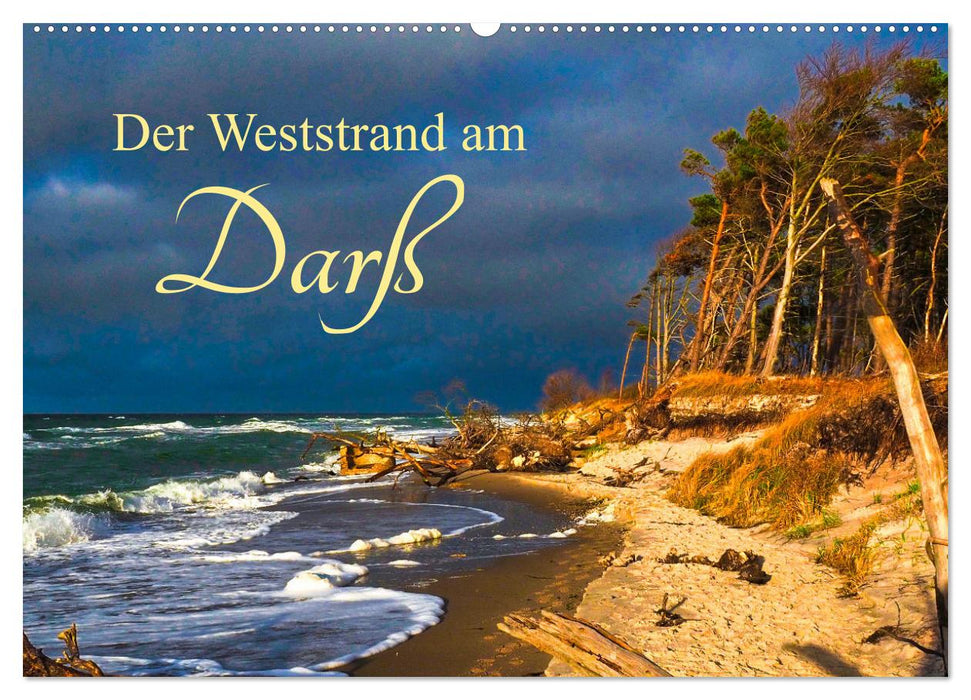 Der Weststrand am Darß (CALVENDO Wandkalender 2025)