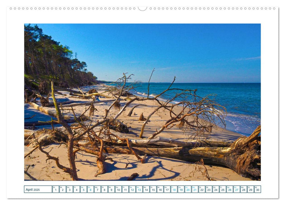 Der Weststrand am Darß (CALVENDO Wandkalender 2025)