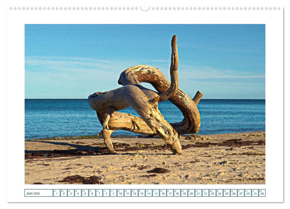 Der Weststrand am Darß (CALVENDO Premium Wandkalender 2025)